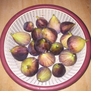 Organic Fig  SETTEBELLO - *AUSTRALIA’S BEST PIZZA AWARD FINALIST*